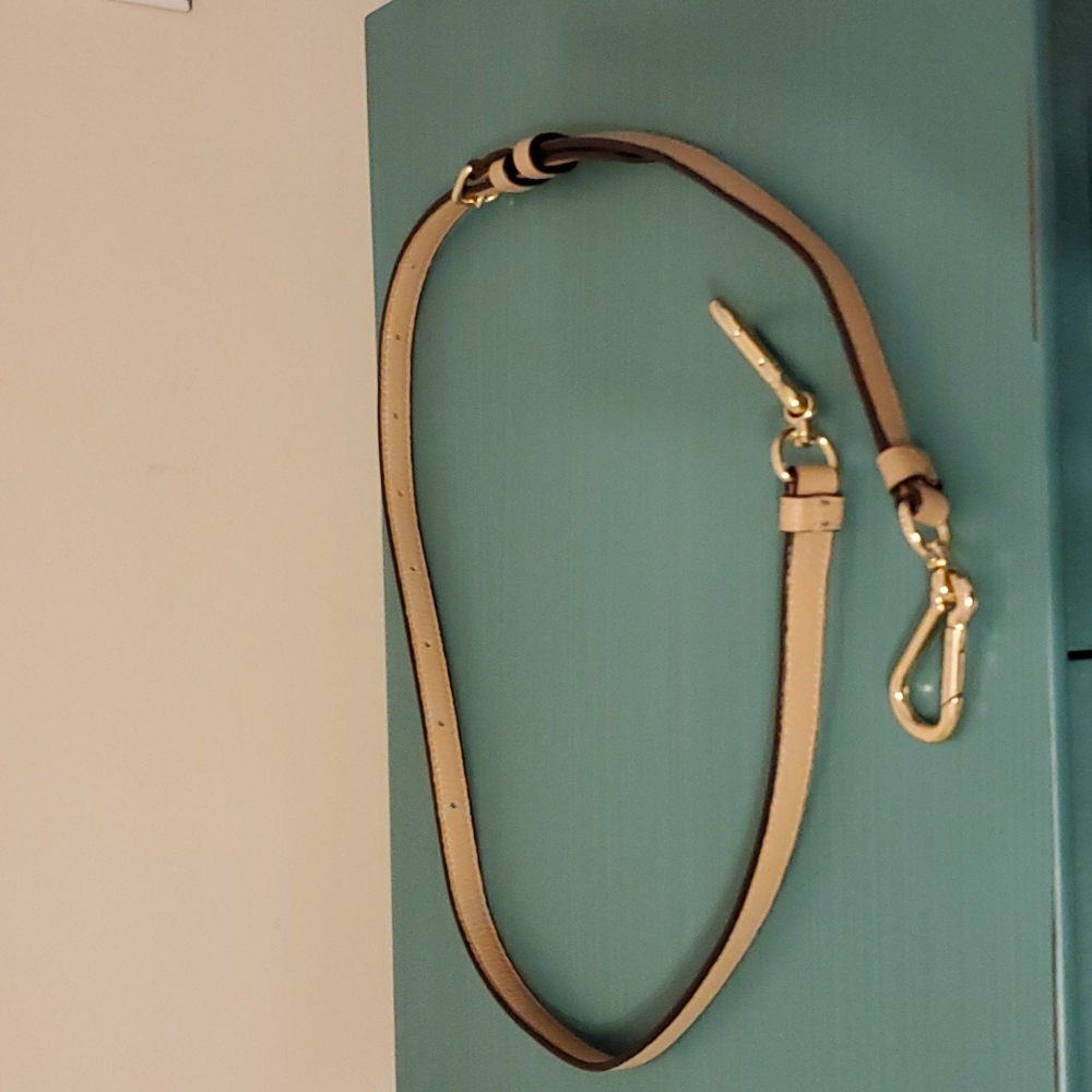 Coach strap